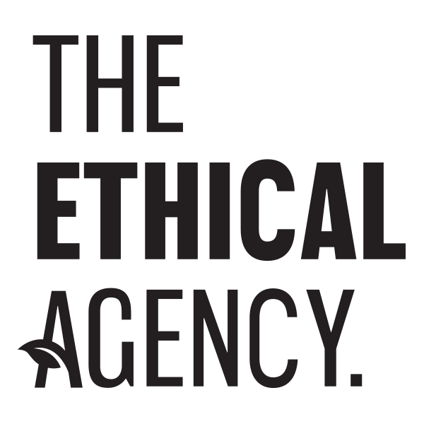 The-ethical-agency-website-design-Cape-Town-Google-logo The Ethical Agency